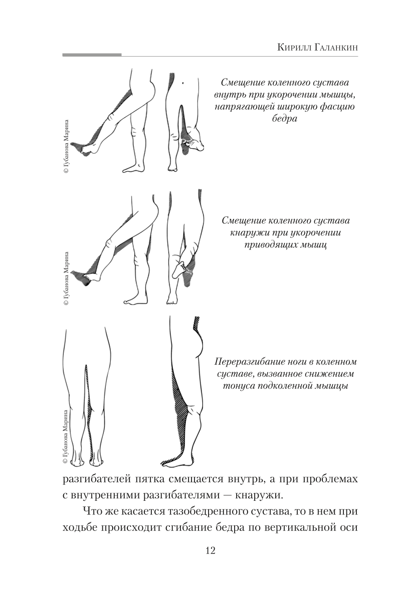 Практическая кинезиология. Упражнения для мышц-халтурщиц