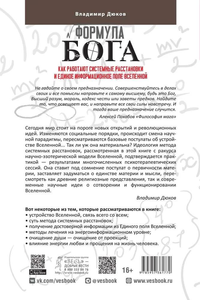 Формула Бога. Как работают системные расстановки и Единое информационное поле Вселенной