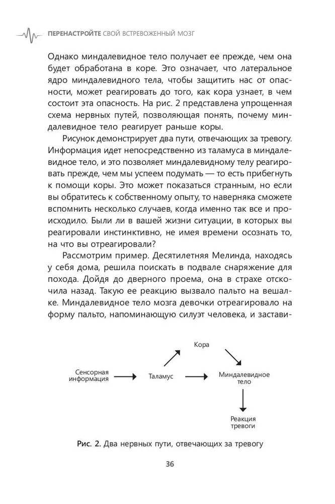 Перенастройте свой встревоженный мозг