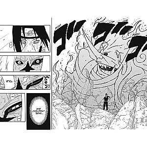 Naruto. Наруто. Книга 15. Хранитель правды