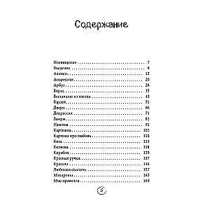 Два сапога. Книга о настоящей, невероятной и несносной любви