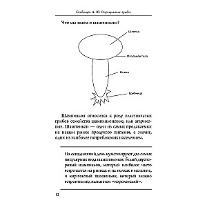 Выращивание грибов. Мини-бизнес с нуля