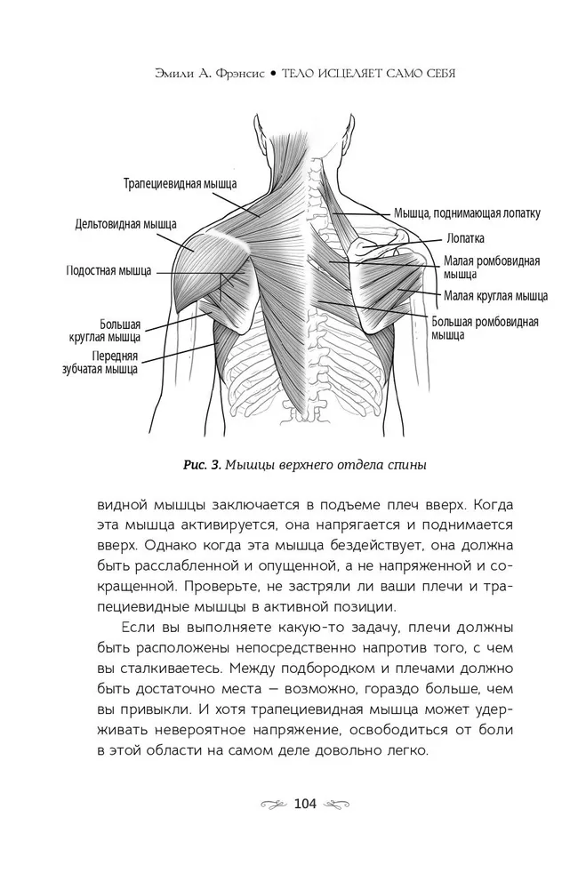 The body heals itself. An in-depth study of muscle function and its connection with emotions