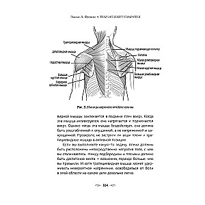 The body heals itself. An in-depth study of muscle function and its connection with emotions