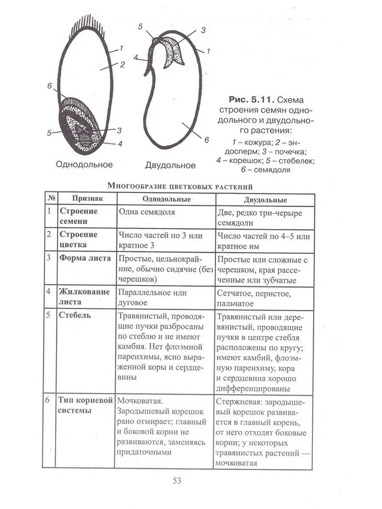 Biology in tables, diagrams and figures