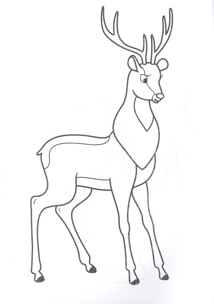 Coloring page A4. Zoo