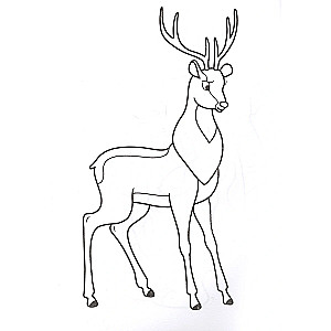 Coloring page A4. Zoo