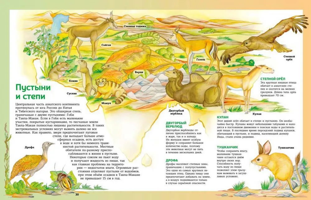 Atlas of animals in pictures. Traveling across the world