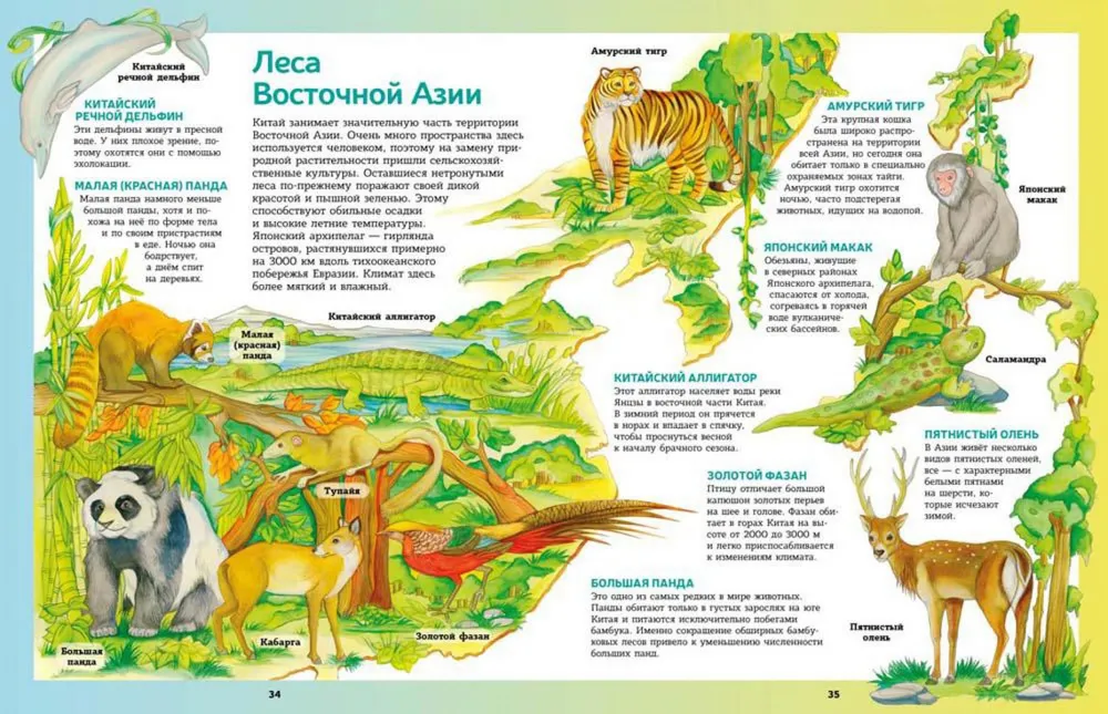 Atlas of animals in pictures. Traveling across the world