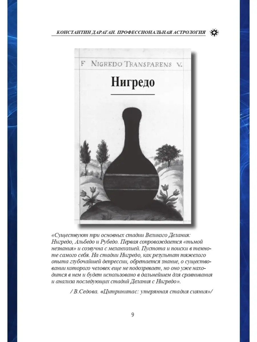 Профессиональная астрология. Астрологическое консультирование и сопровождение бизнеса