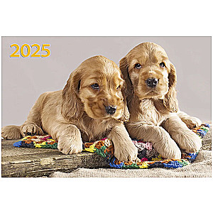 Three-block quarterly wall calendar Two puppies 310x680 for 2025