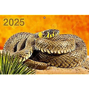 Three-block quarterly wall calendar Year of the Snake 310x680 for 2025