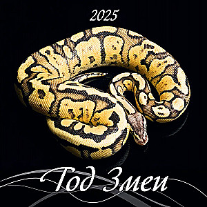 Wall desk calendar Year of the Snake for 2025