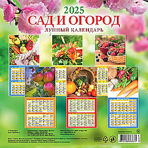 Wall calendar Garden and vegetable garden. Lunar calendar for 2025