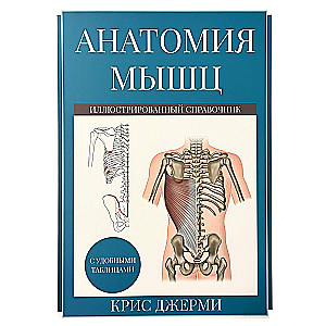 Anatomy of muscles. Illustrated reference book