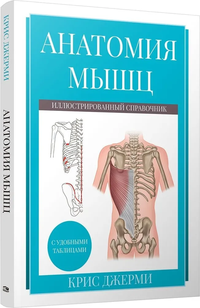 Anatomy of muscles. Illustrated reference book