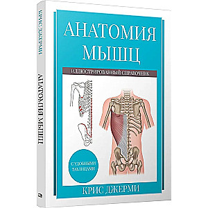 Anatomy of muscles. Illustrated reference book