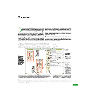 Anatomy of muscles. Illustrated reference book