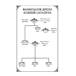 Лунный камень из Сатапура. Книга 2