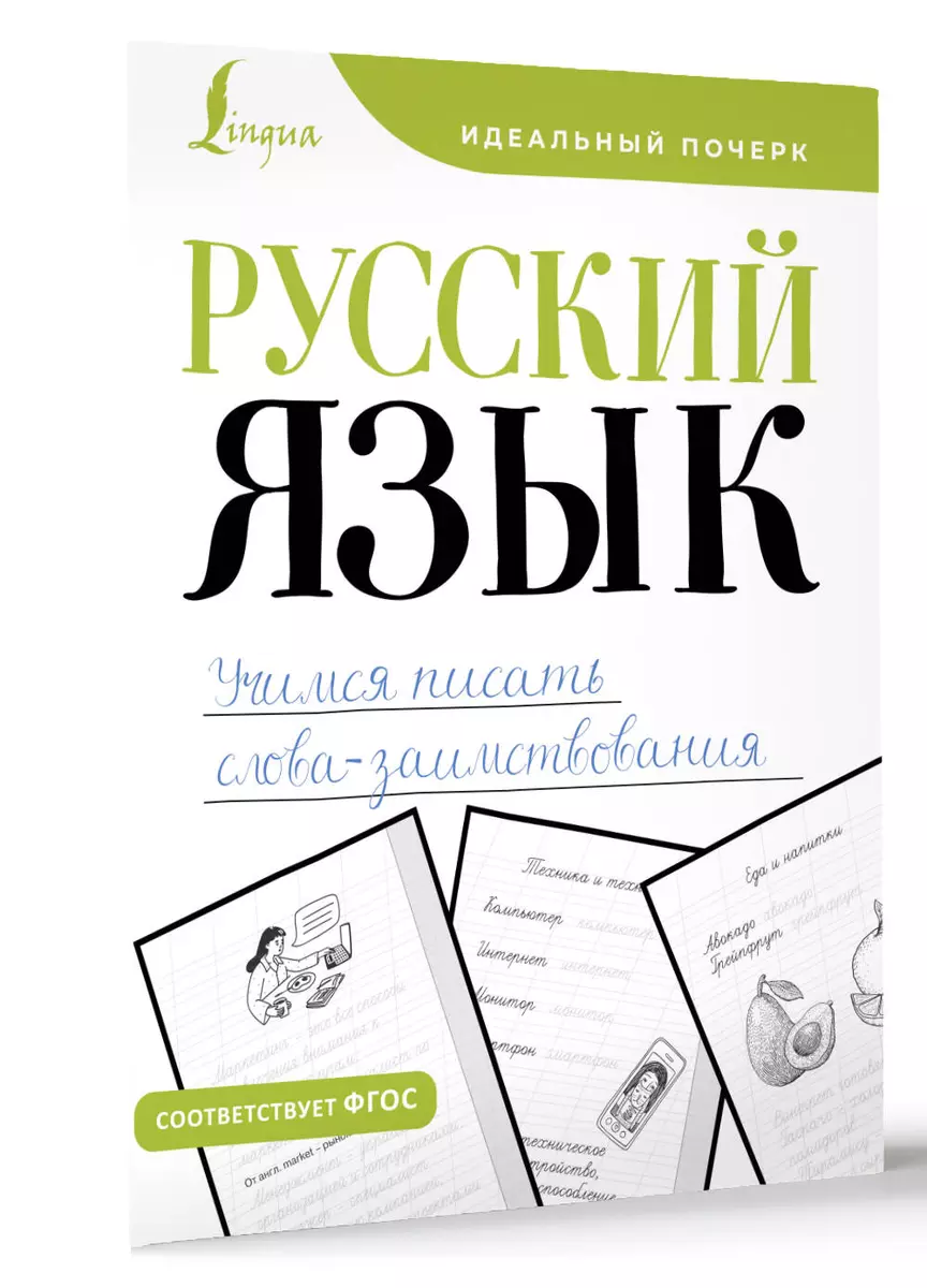 Russian language. Learning to write borrowing words