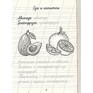 Russian language. Learning to write borrowing words