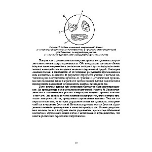 Electrical and electronic apparatus and their use in the oil and gas industry