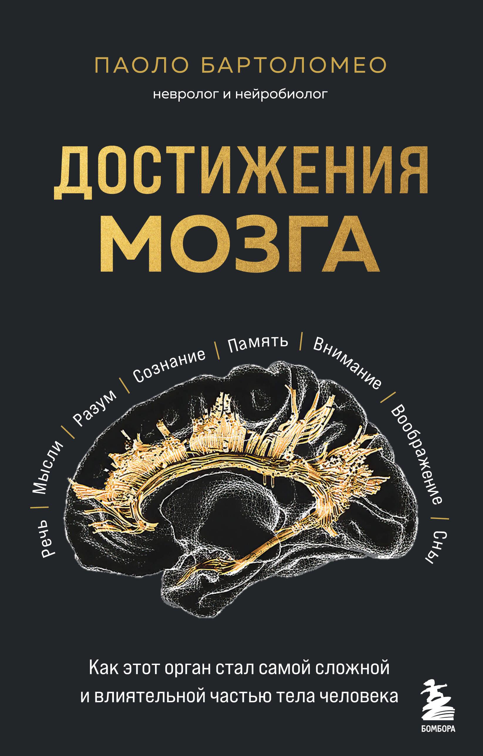 Achievements of the brain. How this organ became the most complex and influential part of the human body