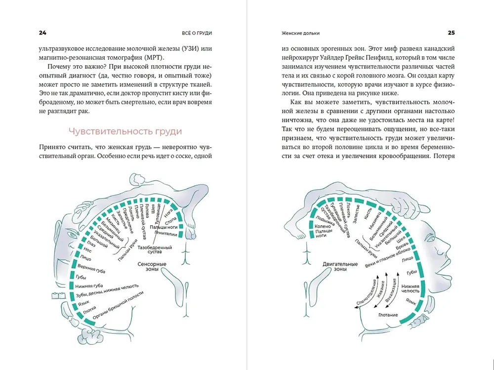 All about breasts. Guide to Prominent Body Part