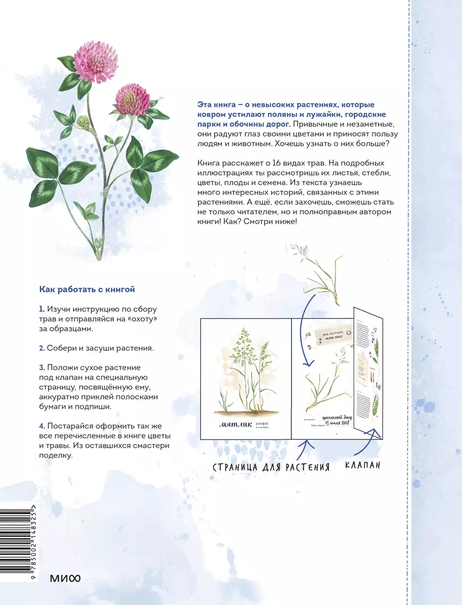 My herbarium. Flowers and herbs (repackaged)