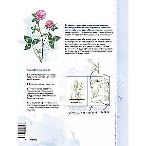 My herbarium. Flowers and herbs (repackaged)