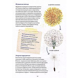 My herbarium. Flowers and herbs (repackaged)