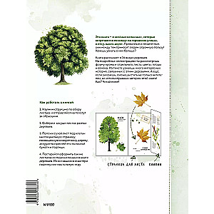 My herbarium. Tree leaves (repackaged)