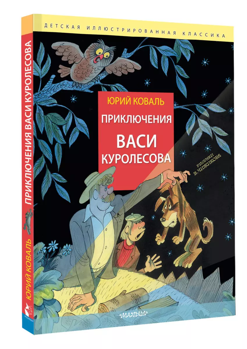 The adventures of Vasya Kurolesov. Rice. V. Chizhikova