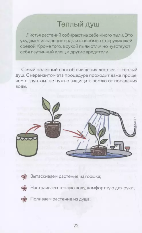 An atypical florist. Cheat sheet-tracker for caring for indoor plants in alternative soil