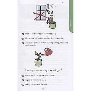 An atypical florist. Cheat sheet-tracker for caring for indoor plants in alternative soil