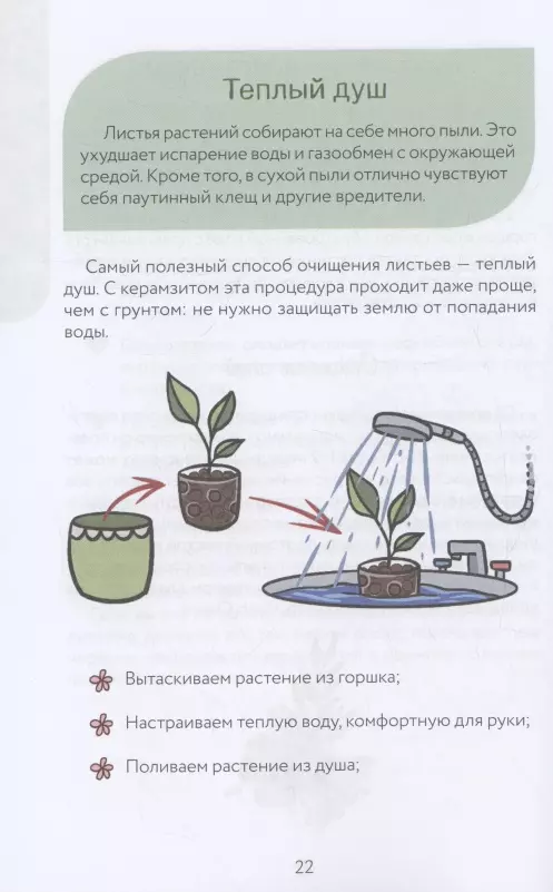 An atypical florist. Cheat sheet-tracker for caring for indoor plants in alternative soil