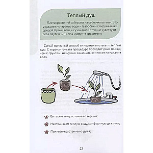 An atypical florist. Cheat sheet-tracker for caring for indoor plants in alternative soil