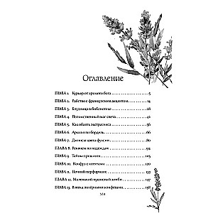 Костры из лаванды и лжи