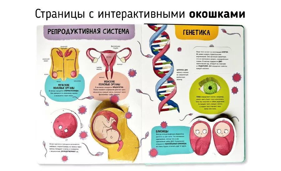 Книга. Мои первые открытия– Человеческое тело