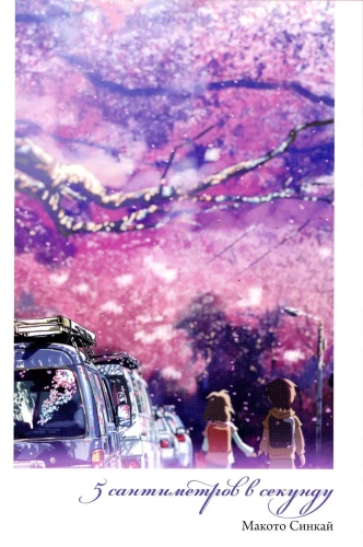 5 centimeters per second