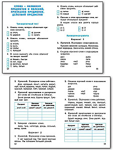 Russian language. 1 class. Testing and control work