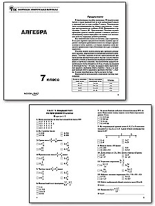 Mathematics. Algebra 7th grade.