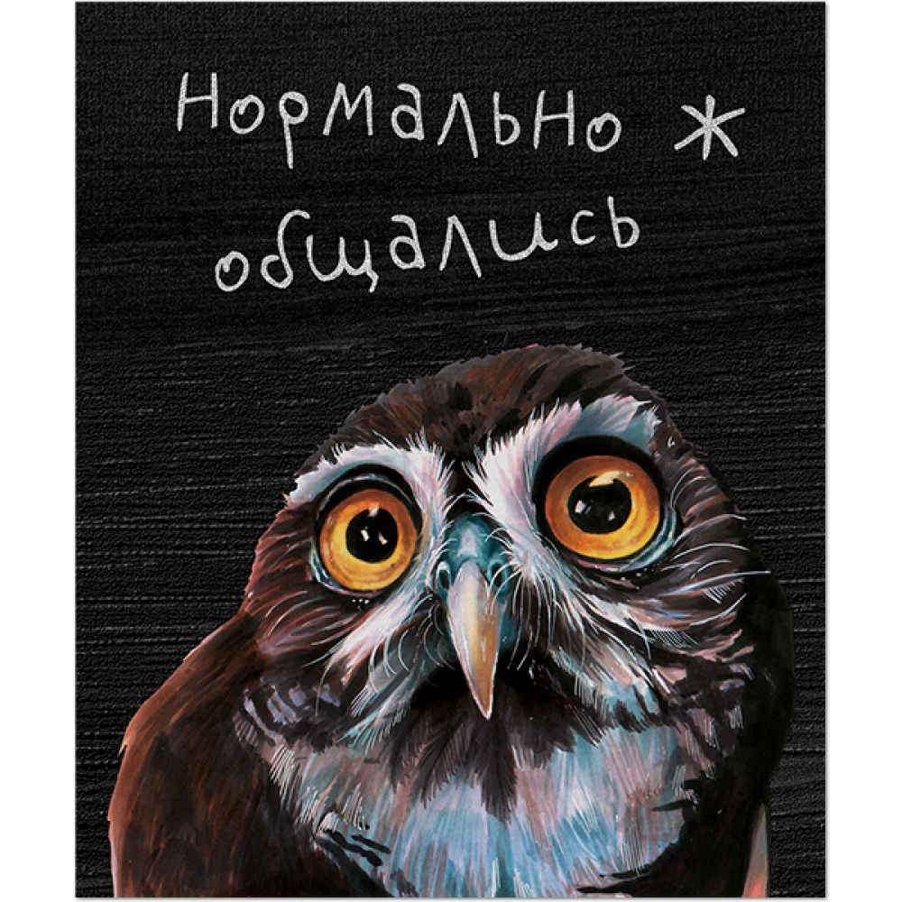 Notebook Emotional Owls