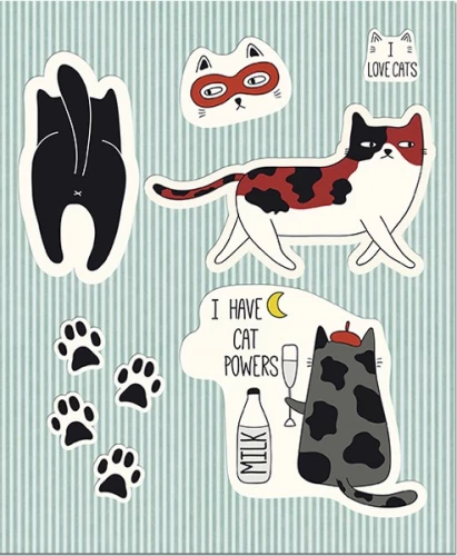 Notebook Cat stickers