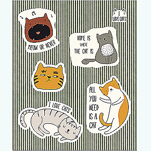 Notebook Cat stickers