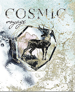 Notebook Cosmic voyage