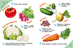 Vegetables, fruits, berries