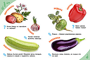 Vegetables, fruits, berries