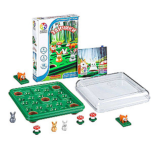 Logic game Bunnies