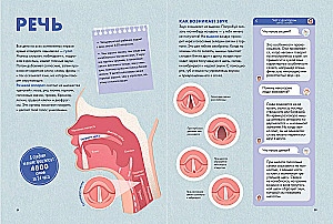 Your body. How it works and changes